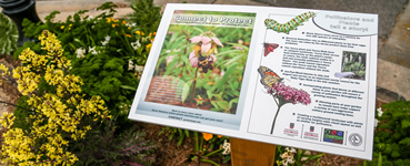 Educational Garden