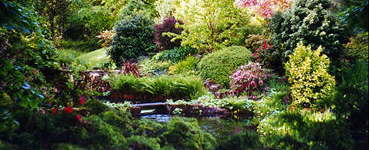 Food Forest