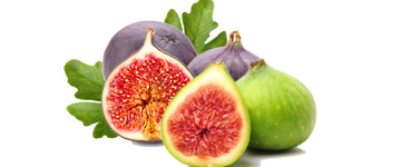 Fig Farm